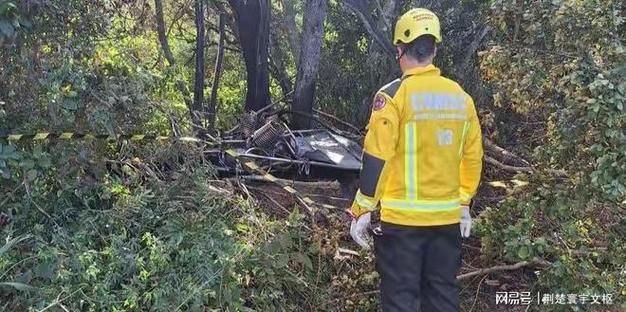 jogo-aliança - Mercado de apostas brasileiro